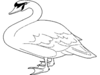 Sticker Custom Preview Image #016857 Animals Birds Goose04
