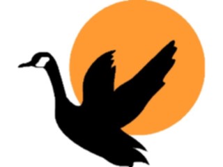 Sticker Custom Preview Image #016858 Animals Birds Goose05