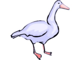 Sticker Custom Preview Image #016862 Animals Birds Goose09