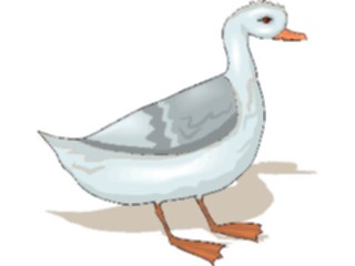 Sticker Custom Preview Image #016875 Animals Birds Goose22