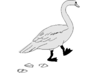 Sticker Custom Preview Image #016876 Animals Birds Goose Walking