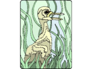 Sticker Custom Preview Image #016877 Animals Birds Gosling