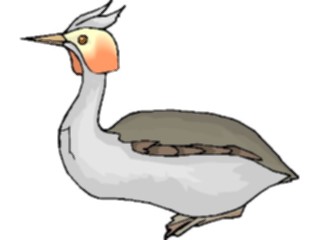 Sticker Custom Preview Image #016879 Animals Birds Grebe2