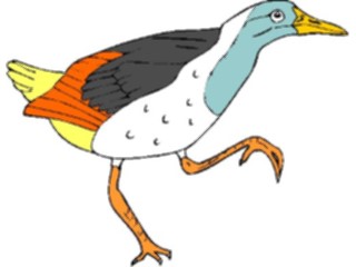 Sticker Custom Preview Image #016881 Animals Birds Grouse