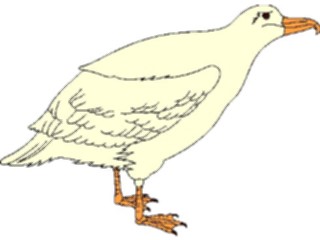 Sticker Custom Preview Image #016885 Animals Birds Gull1