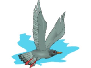 Sticker Custom Preview Image #016888 Animals Birds Gull4