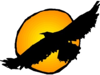 Sticker Custom Preview Image #016896 Animals Birds Hawk Flying