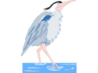Sticker Custom Preview Image #016897 Animals Birds Heron01