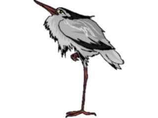 Sticker Custom Preview Image #016900 Animals Birds Heron04