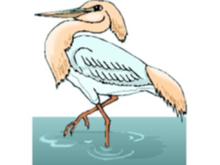 Sticker Custom Preview Image #016903 Animals Birds Heron07