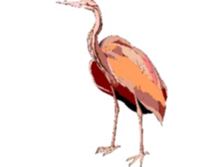 Sticker Custom Preview Image #016906 Animals Birds Heron10