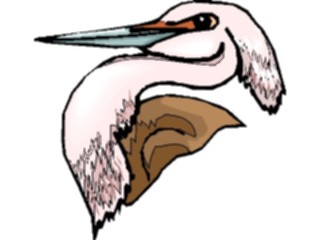 Sticker Custom Preview Image #016907 Animals Birds Heron11