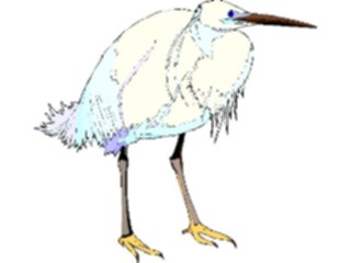 Sticker Custom Preview Image #016908 Animals Birds Heron12
