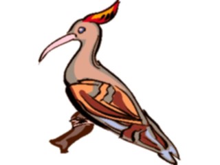 Sticker Custom Preview Image #016910 Animals Birds Hoopoe2