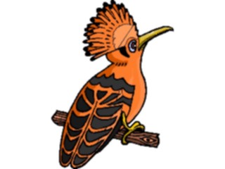 Sticker Custom Preview Image #016912 Animals Birds Hoopoe4