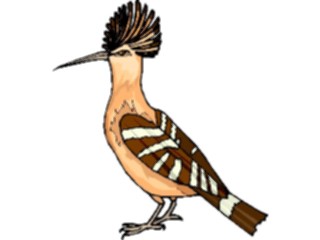 Sticker Custom Preview Image #016913 Animals Birds Hoopoe5