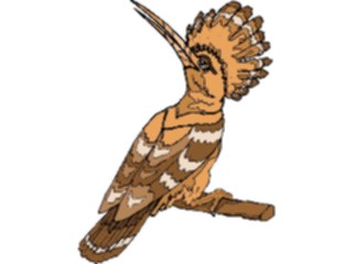 Sticker Custom Preview Image #016914 Animals Birds Hoopoe6