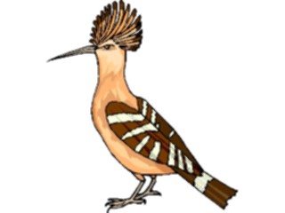Sticker Custom Preview Image #016915 Animals Birds Hoopoe7