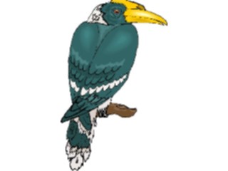 Sticker Custom Preview Image #016918 Animals Birds Hornbill2