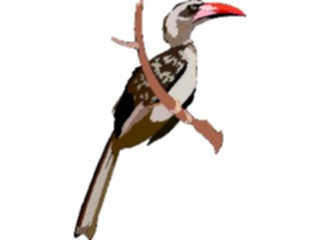 Sticker Custom Preview Image #016919 Animals Birds Hornbill3