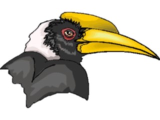 Sticker Custom Preview Image #016920 Animals Birds Hornbill4