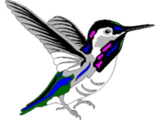 Sticker Custom Preview Image #016923 Animals Birds Hummingbird01
