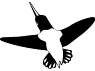 Sticker Custom Preview Image #016924 Animals Birds Hummingbird02