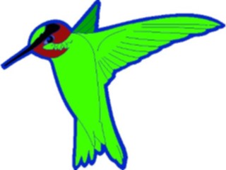 Sticker Custom Preview Image #016925 Animals Birds Hummingbird03