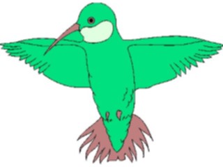 Sticker Custom Preview Image #016926 Animals Birds Hummingbird04