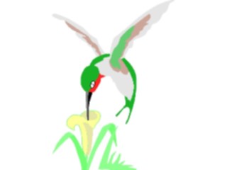 Sticker Custom Preview Image #016928 Animals Birds Hummingbird06
