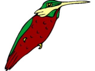 Sticker Custom Preview Image #016929 Animals Birds Hummingbird07