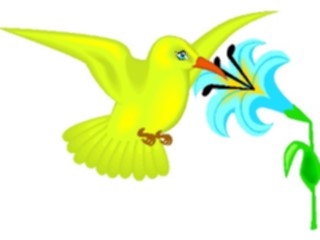 Sticker Custom Preview Image #016931 Animals Birds Hummingbird09