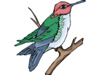 Sticker Custom Preview Image #016932 Animals Birds Hummingbird10