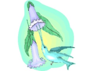 Sticker Custom Preview Image #016933 Animals Birds Hummingbird11