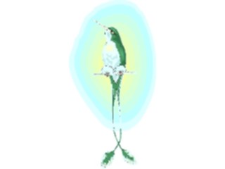 Sticker Custom Preview Image #016935 Animals Birds Hummingbird13