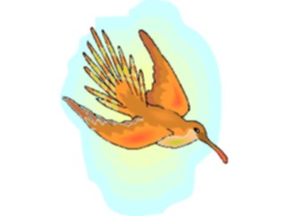 Sticker Custom Preview Image #016936 Animals Birds Hummingbird14