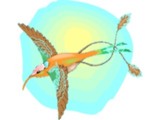 Sticker Custom Preview Image #016937 Animals Birds Hummingbird15