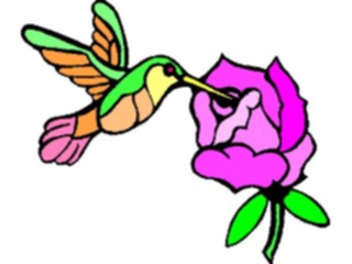 Sticker Custom Preview Image #016939 Animals Birds Hummingbird Flower