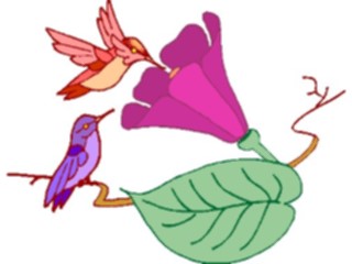 Sticker Custom Preview Image #016940 Animals Birds Hummingbirds1