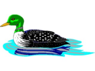 Sticker Custom Preview Image #016965 Animals Birds Loon1