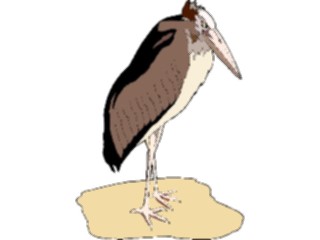 Sticker Custom Preview Image #016977 Animals Birds Marabou Stork4