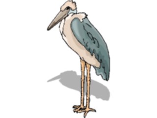 Sticker Custom Preview Image #016978 Animals Birds Marabou Stork5