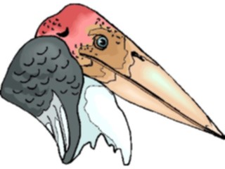 Sticker Custom Preview Image #016979 Animals Birds Marabou Stork Head