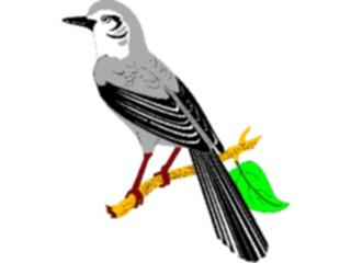 Sticker Custom Preview Image #016982 Animals Birds Mockingbird