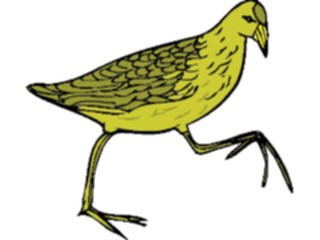 Sticker Custom Preview Image #016983 Animals Birds Moorhen1