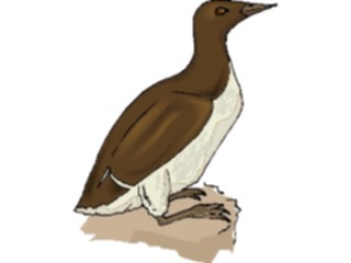 Sticker Custom Preview Image #016985 Animals Birds Murlet