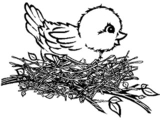 Sticker Custom Preview Image #016987 Animals Birds Nest1