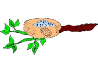 Sticker Custom Preview Image #016993 Animals Birds Nest Eggs4