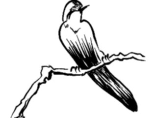 Sticker Custom Preview Image #016995 Animals Birds On Branch2