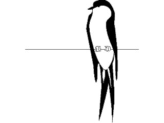 Sticker Custom Preview Image #016996 Animals Birds On Wire